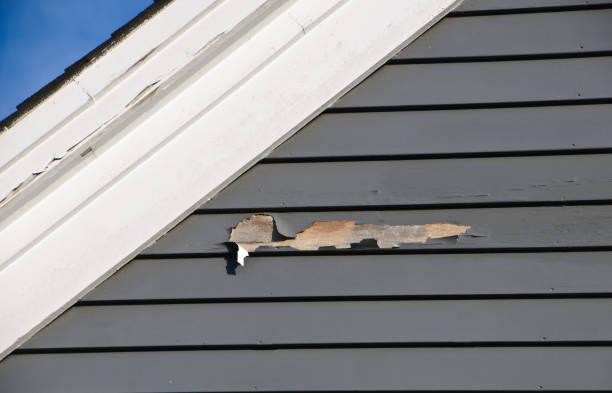 How To Choose The Right Materials for Your Siding Installation in 'Wesson, MS